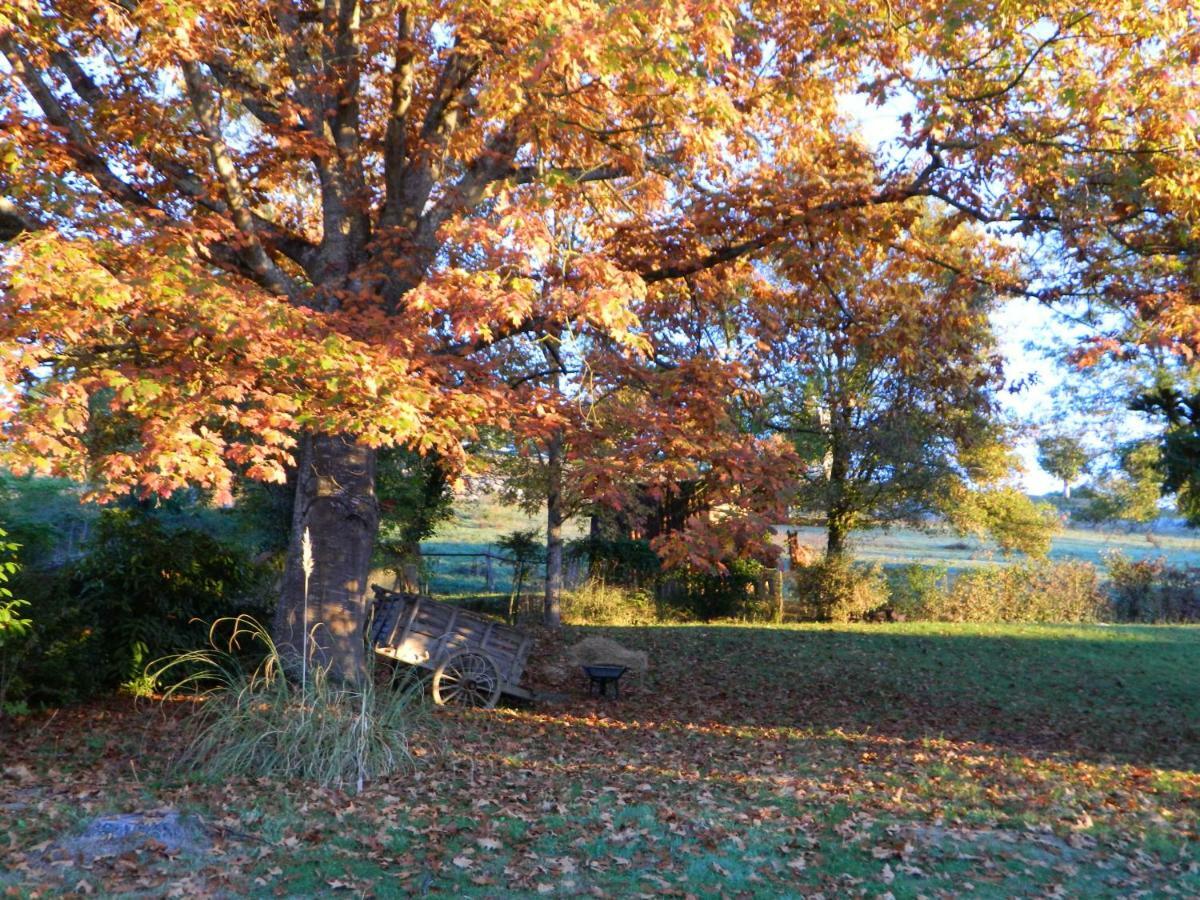 Centre De Bien-Etre Et Ses Chambres D'Hote Villeneuve-de-Riviere Luaran gambar
